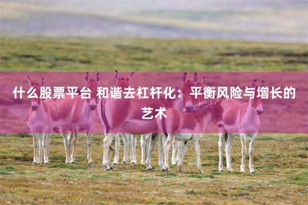 什么股票平台 和谐去杠杆化：平衡风险与增长的艺术
