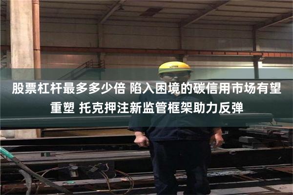 股票杠杆最多多少倍 陷入困境的碳信用市场有望重塑 托克押注新监管框架助力反弹