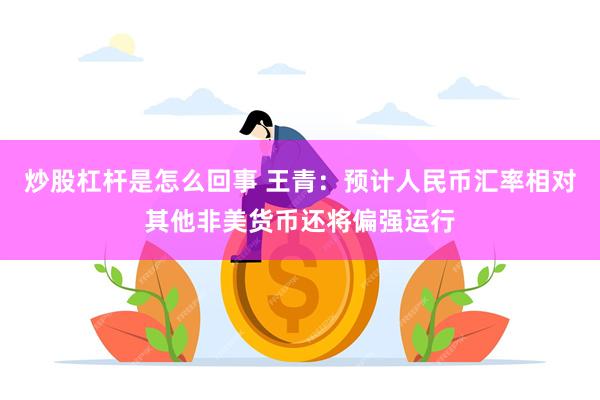 炒股杠杆是怎么回事 王青：预计人民币汇率相对其他非美货币还将偏强运行