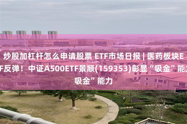 炒股加杠杆怎么申请股票 ETF市场日报 | 医药板块ETF反弹!中证A500ETF景顺(159353)彰显“吸金”能力