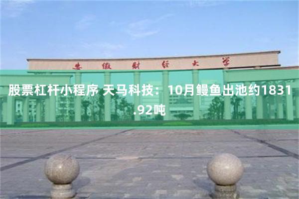 股票杠杆小程序 天马科技：10月鳗鱼出池约1831.92吨