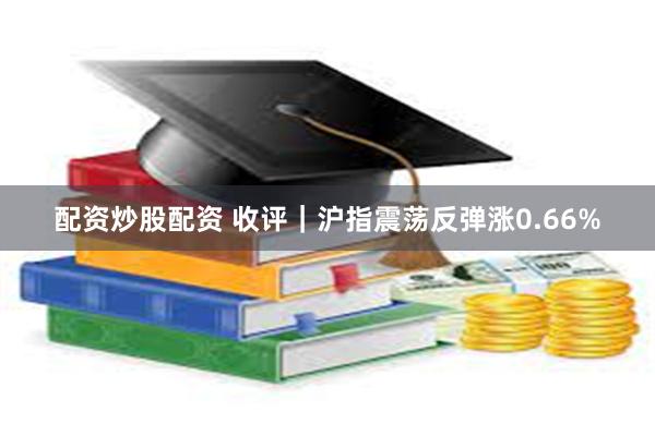 配资炒股配资 收评|沪指震荡反弹涨0.66%