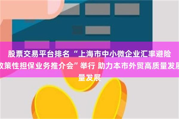 股票交易平台排名 “上海市中小微企业汇率避险政策性担保业务推介会”举行 助力本市外贸高质量发展