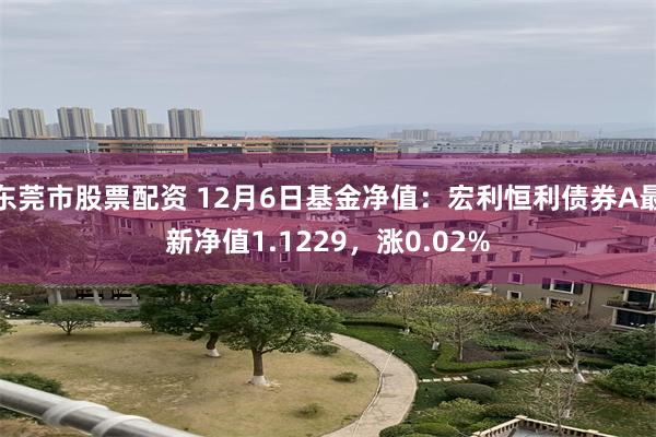 东莞市股票配资 12月6日基金净值：宏利恒利债券A最新净值1.1229，涨0.02%