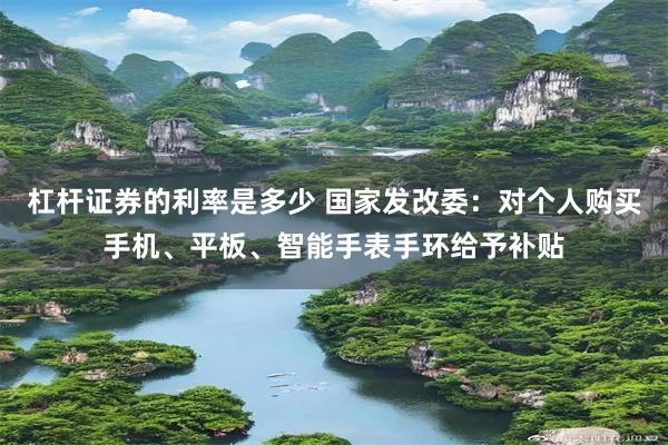杠杆证券的利率是多少 国家发改委：对个人购买手机、平板、智能手表手环给予补贴