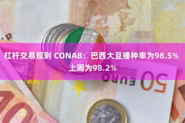 杠杆交易规则 CONAB：巴西大豆播种率为98.5% 上周为98.2%