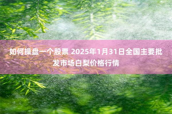 如何操盘一个股票 2025年1月31日全国主要批发市场白梨价格行情
