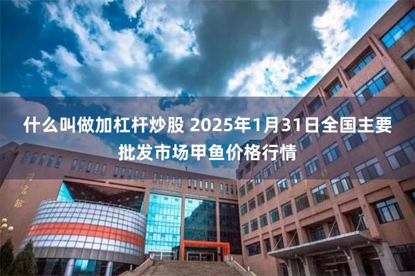 什么叫做加杠杆炒股 2025年1月31日全国主要批发市场甲鱼价格行情