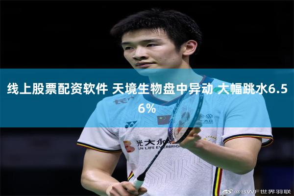 线上股票配资软件 天境生物盘中异动 大幅跳水6.56%