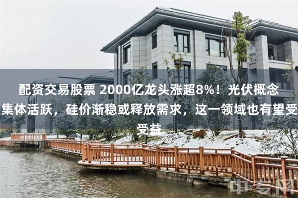 配资交易股票 2000亿龙头涨超8%！光伏概念股集体活跃，硅价渐稳或释放需求，这一领域也有望受益