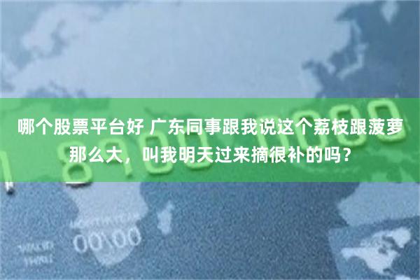 哪个股票平台好 广东同事跟我说这个荔枝跟菠萝那么大，叫我明天过来摘很补的吗？