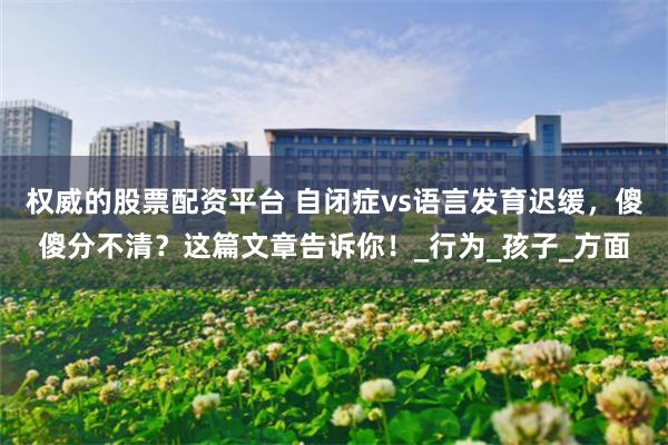 权威的股票配资平台 自闭症vs语言发育迟缓，傻傻分不清？这篇文章告诉你！_行为_孩子_方面