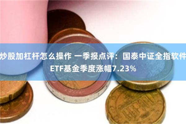 炒股加杠杆怎么操作 一季报点评：国泰中证全指软件ETF基金季度涨幅7.23%