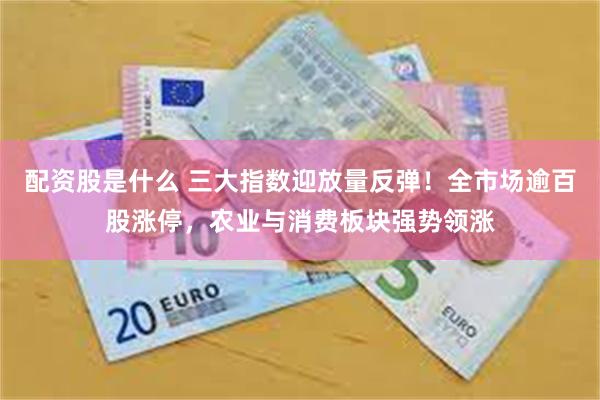 配资股是什么 三大指数迎放量反弹！全市场逾百股涨停，农业与消费板块强势领涨