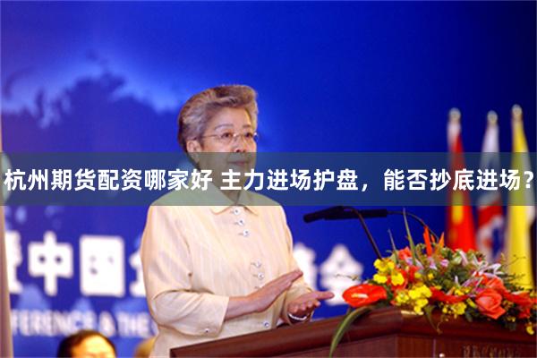杭州期货配资哪家好 主力进场护盘,能否抄底进场?