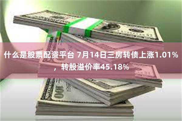 什么是股票配资平台 7月14日三房转债上涨1.01%，转股溢价率45.18%