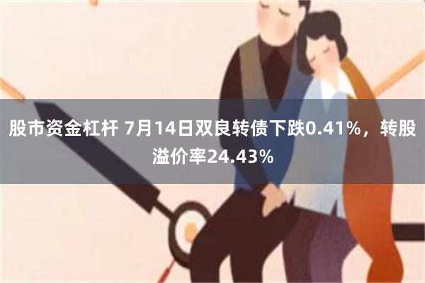 股市资金杠杆 7月14日双良转债下跌0.41%，转股溢价率24.43%
