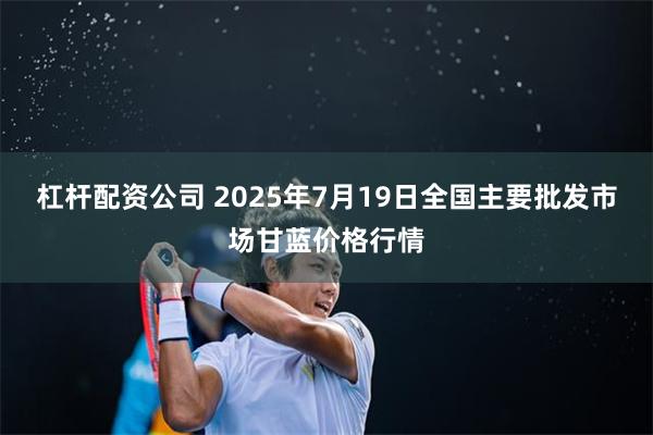 杠杆配资公司 2025年7月19日全国主要批发市场甘蓝价格行情