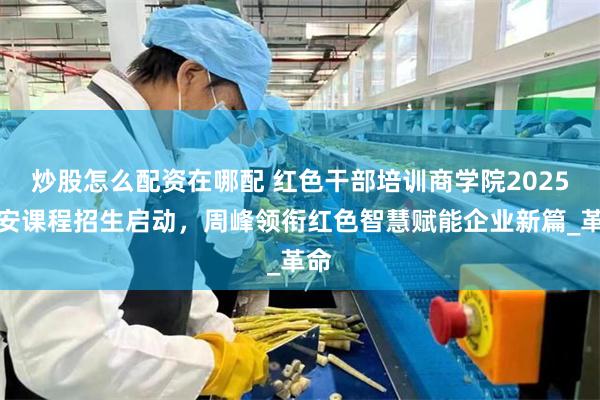 炒股怎么配资在哪配 红色干部培训商学院2025延安课程招生启动，周峰领衔红色智慧赋能企业新篇_革命