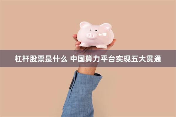 杠杆股票是什么 中国算力平台实现五大贯通